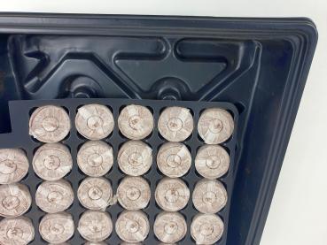 Preview: Anzuchtset mit 35 Quelltabs